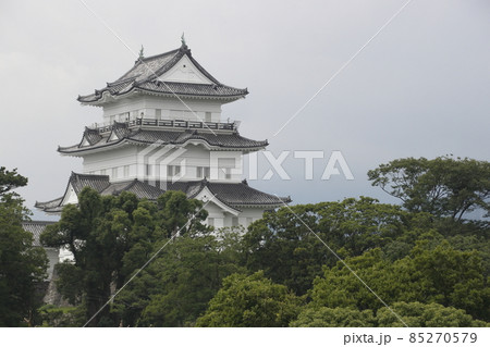 小田原城（神奈川県小田原市） 85270579