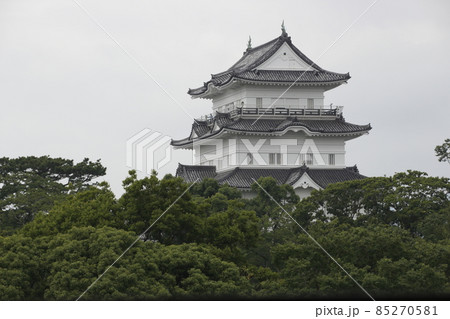 小田原城（神奈川県小田原市） 85270581