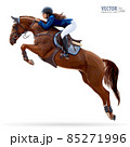 Jockey on horse. Champion. Horse riding. Equestrian sport. Jockey riding jumping horse. Poster. Sport background. Isolated Vector Illustration 85271996