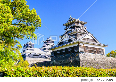 熊本城「桜の花が咲く季節」城内風景Kumamoto Castle(Sakura scenery) 85273509