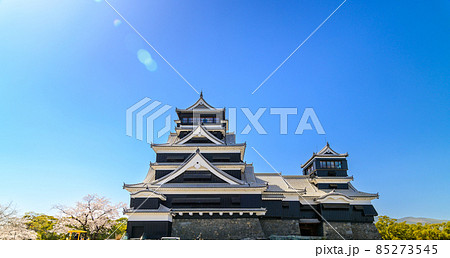 熊本城「桜の花が咲く季節」城内風景Kumamoto Castle(Sakura scenery) 熊本城「桜の花が咲く季節」城内風景Kumamoto Castle(Sakura scenery) 85273545