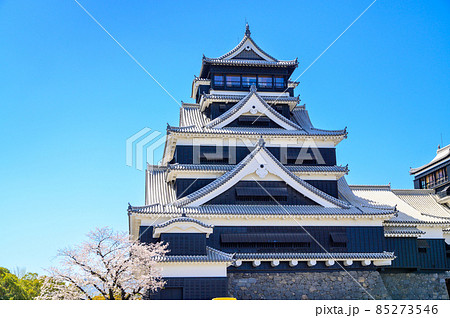 熊本城「桜の花が咲く季節」城内風景Kumamoto Castle(Sakura scenery) 熊本城「桜の花が咲く季節」城内風景Kumamoto Castle(Sakura scenery) 85273546