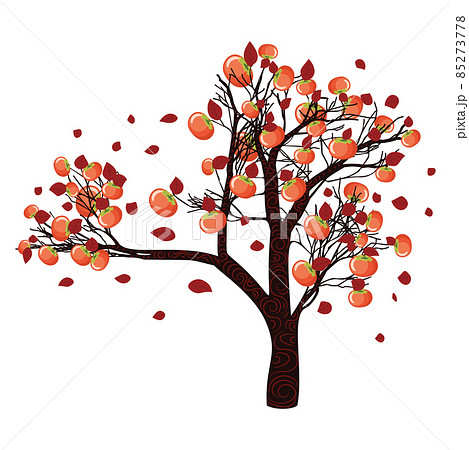 Persimmon tree illustration 85273778