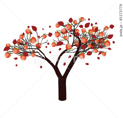 Persimmon tree illustration 85273779
