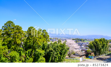 桜の木「田舎の桜並木」春空と桜 桜の木「田舎の桜並木」春空と桜 85273824