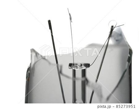 Bulb 85273951