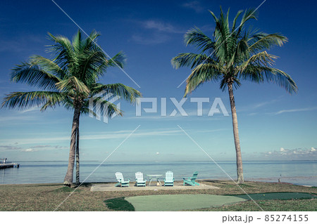 A spot und the palm trees to have tea when you're old A spot und the palm trees to have tea when you're old 85274155