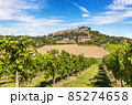 Hilly region of the Langhe with vineyards 85274658