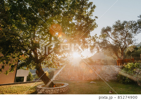 Beautiful villa in Mediterranean style with plants at sunset 85274900