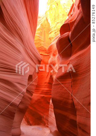 アンテロープキャニオンX（南渓谷）　アメリカアリゾナ州　ペイジ 85276149