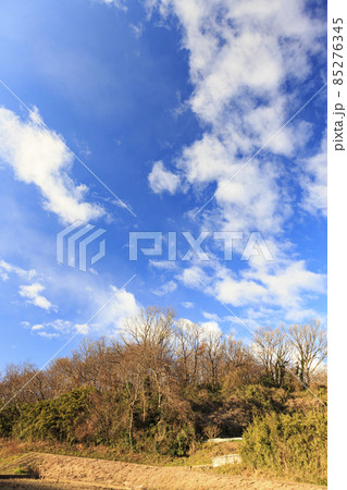 神奈川県横浜市戸塚区の原風景舞岡ふるさと公園の冬 85276345