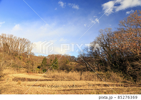 神奈川県横浜市戸塚区の原風景舞岡ふるさと公園の冬 85276369