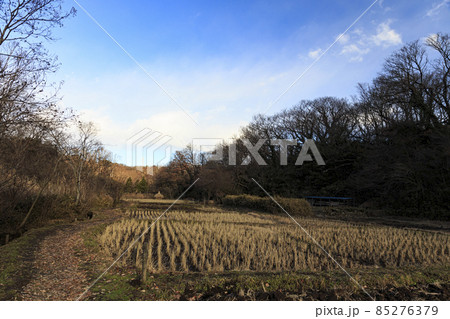 神奈川県横浜市戸塚区の原風景舞岡ふるさと公園の冬 85276379