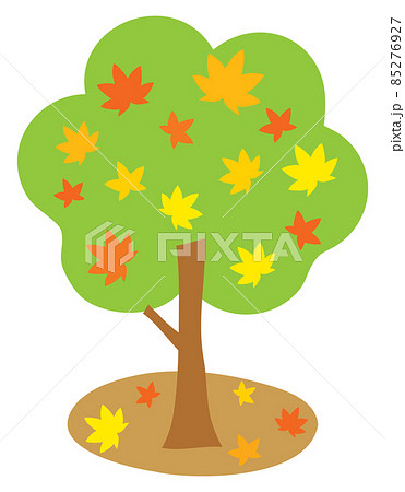 秋に色づく紅葉の木のイラスト素材