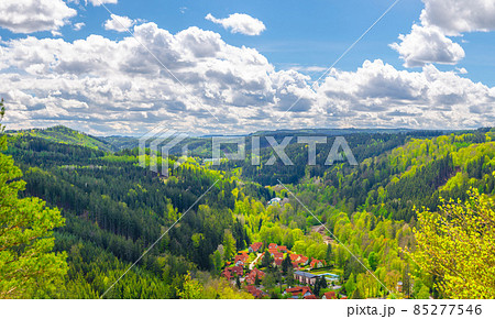 Slavkov Forest aerial panoramic view with small village 85277546