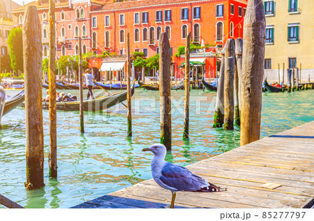 Venice cityscape with Grand Canal Venice cityscape with Grand Canal 85277797