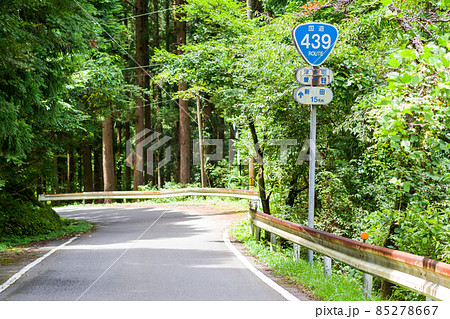 【国道439号】おにぎりとワインディングロード 85278667