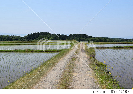 農道と田園風景 85279108