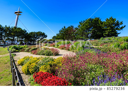 東京　江戸川区　葛西臨海公園　展望広場 85279236