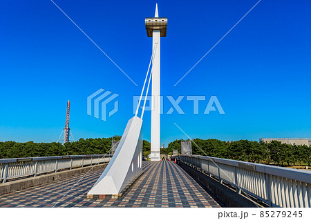 東京　江戸川区　葛西臨海公園　葛西渚橋 85279245