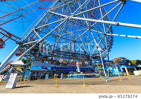 東京　江戸川区　葛西臨海公園　ダイヤと花の大観覧車 85279274