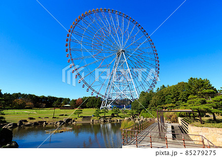 東京　江戸川区　葛西臨海公園　ダイヤと花の大観覧車 85279275