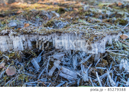 霜柱 霜柱 85279388