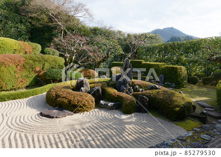 備中高梁　頼久寺　小堀遠州作の庭園　岡山県高梁市 85279530