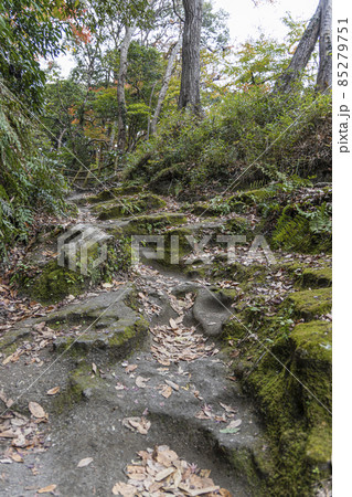 化粧坂切通し 85279751