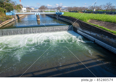 見沼代用水　水路　見沼元圦公園付近の風景　秋の風景　　 85280574