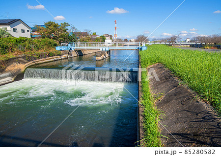 見沼代用水　水路　見沼元圦公園付近の風景　秋の風景　　 85280582