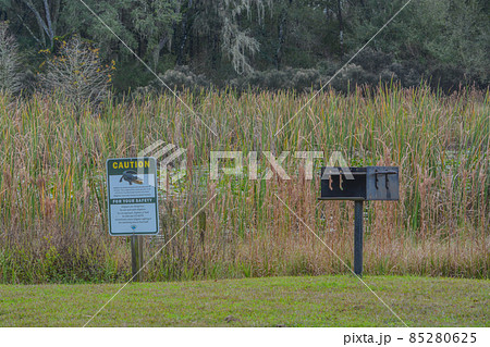 Caution Alligator Sign and a Barbeque to cook up what you catch. In Colt Creek State Park, Lakeland, Polk County, Florida Caution Alligator Sign and a Barbeque to cook up what you catch. In Colt Creek State Park, Lakeland, Polk County, Florida 85280625