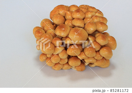 フレッシュなナメコ フレッシュなナメコ 85281172