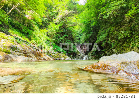 尾白川渓谷:千ヶ淵(夏) 尾白川渓谷:千ヶ淵(夏) 85281731