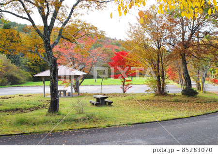 広島八幡高原自然館の秋の景色 広島八幡高原自然館の秋の景色 85283070