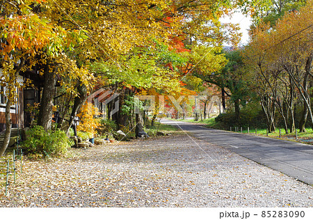 広島八幡高原自然館の秋の景色 広島八幡高原自然館の秋の景色 85283090