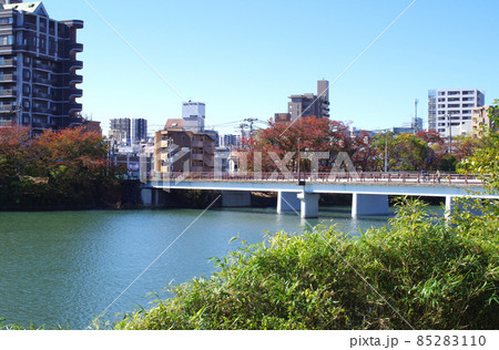 牛田南地区から眺めた神田橋の景色 牛田南地区から眺めた神田橋の景色 85283110