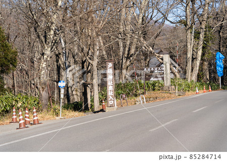 【長野県】　戸隠神社　奥社 85284714