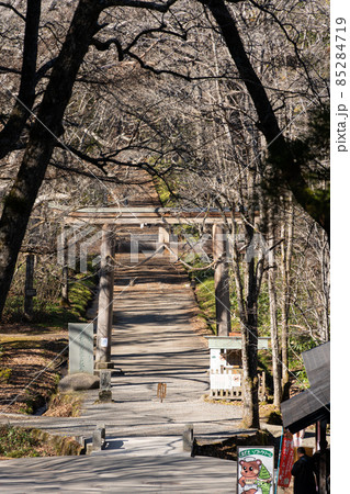 【長野県】 戸隠神社 奥社 【長野県】 戸隠神社 奥社 85284719