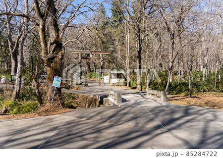 【長野県】 戸隠神社 奥社 【長野県】 戸隠神社 奥社 85284722
