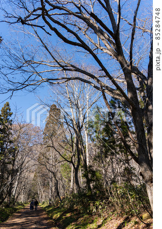 【長野県】　戸隠神社　奥社 85284748