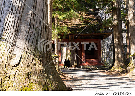 【長野県】　戸隠神社　奥社 85284757