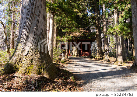【長野県】　戸隠神社　奥社 85284762