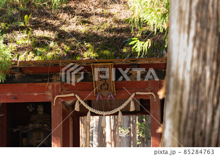 【長野県】　戸隠神社　奥社 85284763