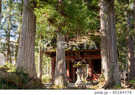 【長野県】　戸隠神社　奥社 85284778