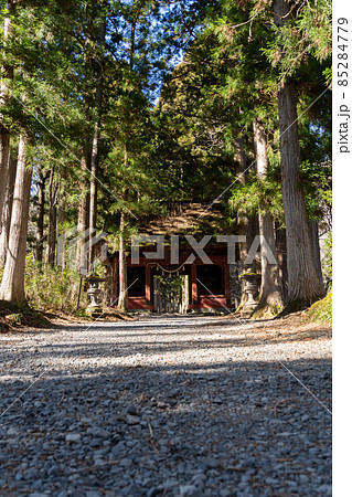 【長野県】　戸隠神社　奥社 85284779