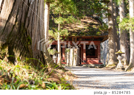 【長野県】 戸隠神社 奥社 【長野県】 戸隠神社 奥社 85284785