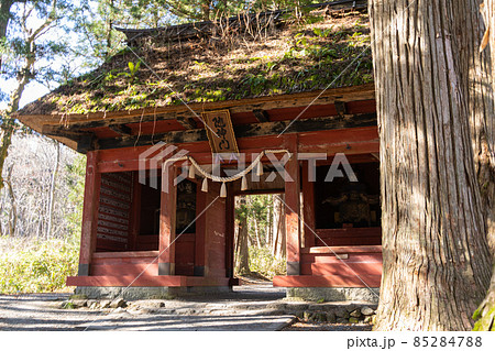 【長野県】　戸隠神社　奥社 85284788