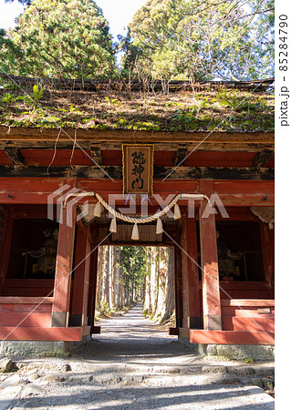 【長野県】　戸隠神社　奥社 85284790