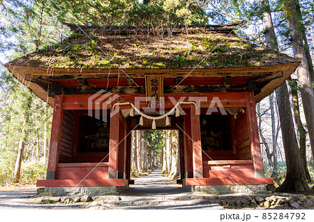 【長野県】　戸隠神社　奥社 85284792
